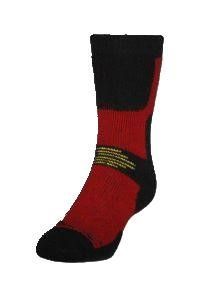 340_possum_boot_rata_erased_resized2.jpg