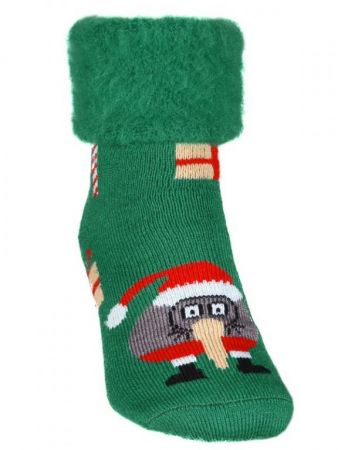 xmas_kiwi.jpg